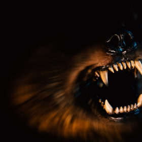 Can You Sue for Emotional Distress After a Dog Bite in Georgia