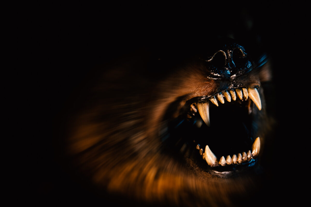 Understanding Atlanta GA dog bite laws and liability