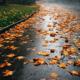 Rain, Wet Leaves, and Early Darkness: November Slip-and-Fall Claims in Georgia