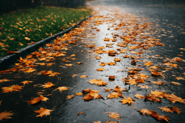 Rain, Wet Leaves, and Early Darkness: November Slip-and-Fall Claims in Georgia